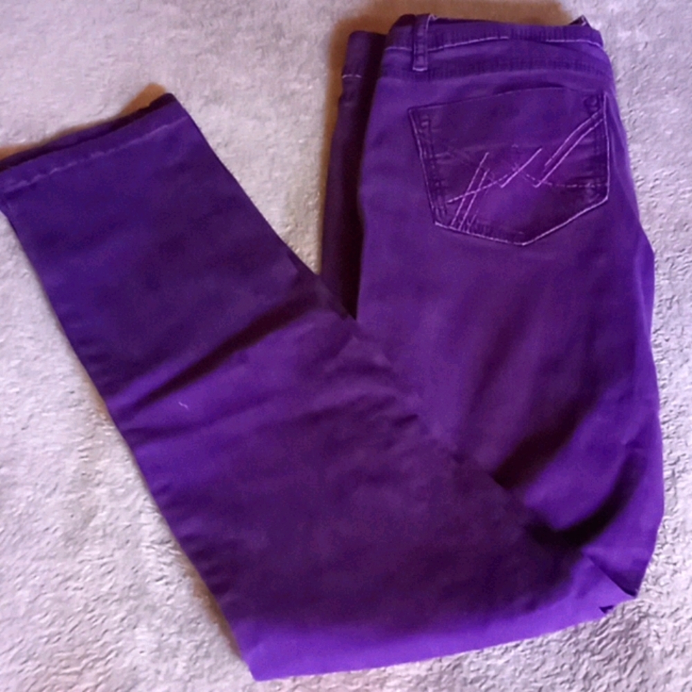 TRUE FREEDOM Purple Jeggings